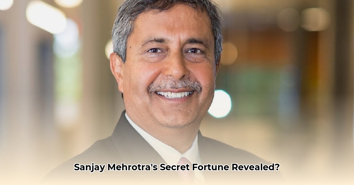 sanjay-mehrotra-net-worth